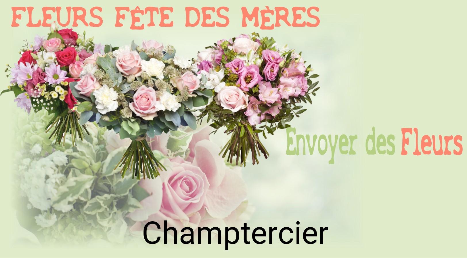 Bouquet de Fête des Mères livré à Champtercier